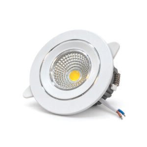 SIC 5W COB Ceiling Light